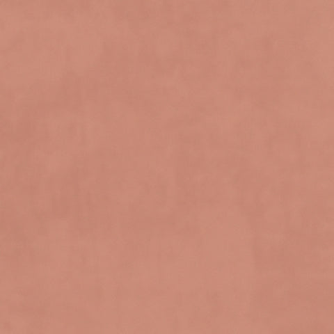 Velvet Petal