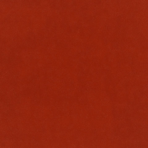 A solid, warm rust-red textured color swatch filling the entire frame.