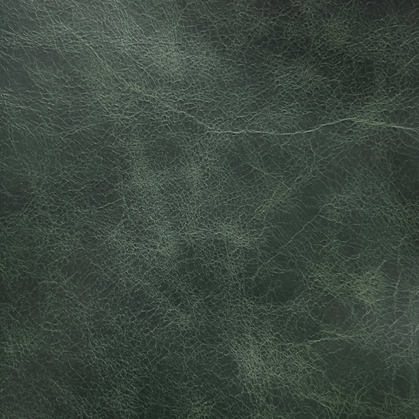 green leather sample 