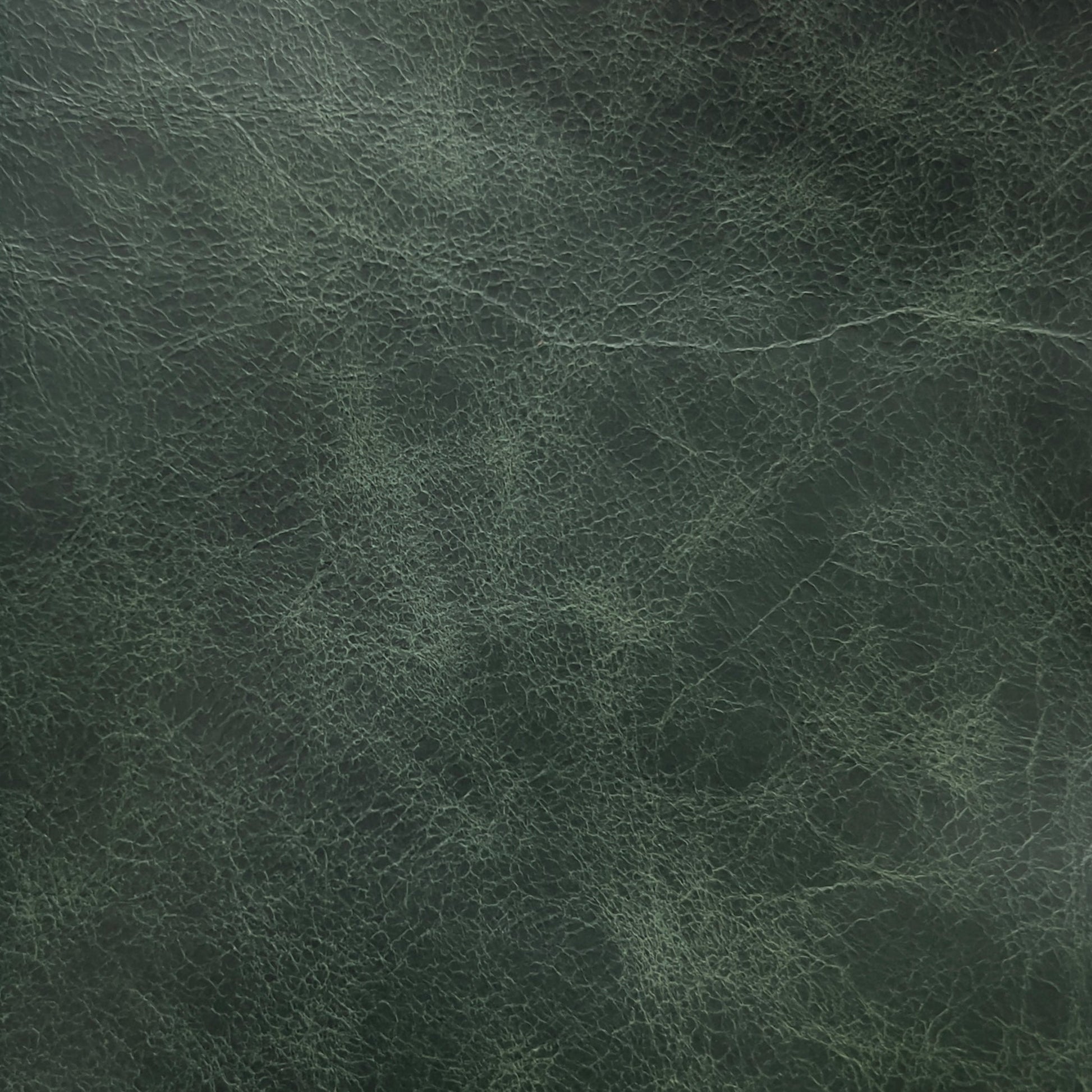 green leather sample 